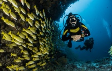 Amorgos : Plongée sous marine