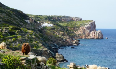 Serifos, Sifnos et Milos, les Cyclades du sud